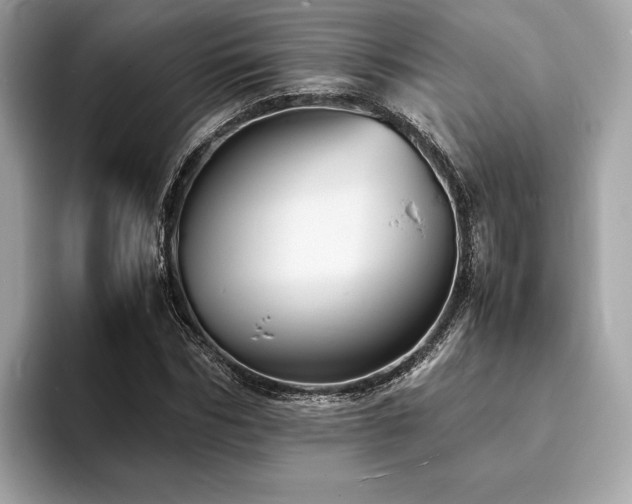 X0000093730970200710161114