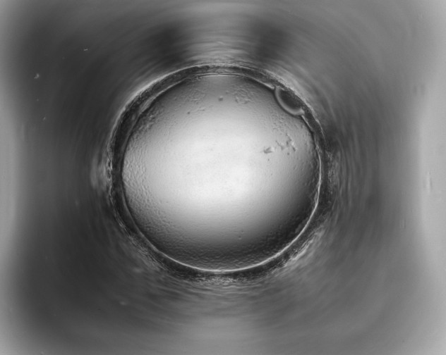 X0000093730971200710161114
