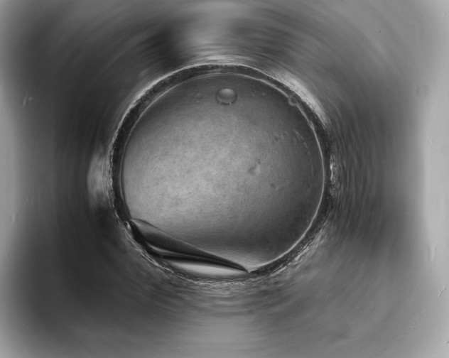 X0000093730972200710161114