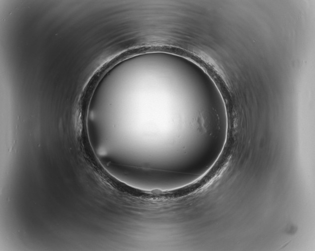 X0000093730973200710161114