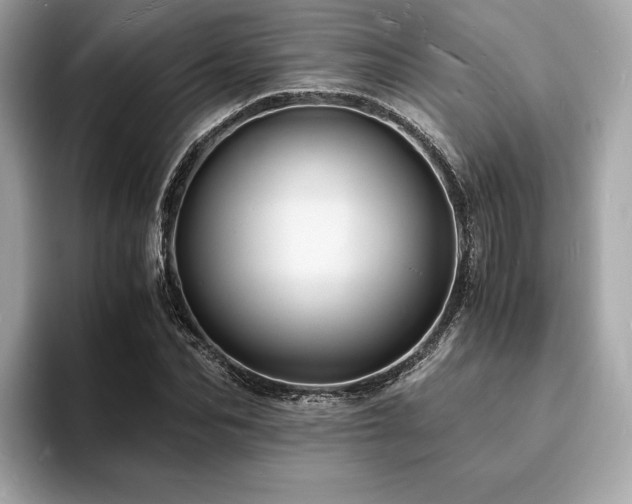 X0000093730974200710161113