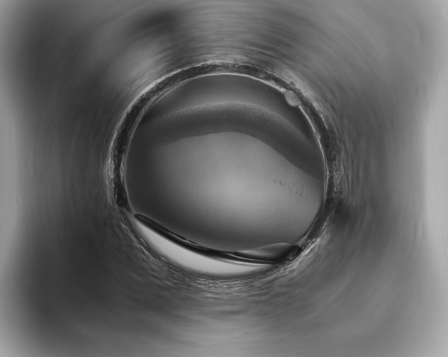 X0000093730975200710161113