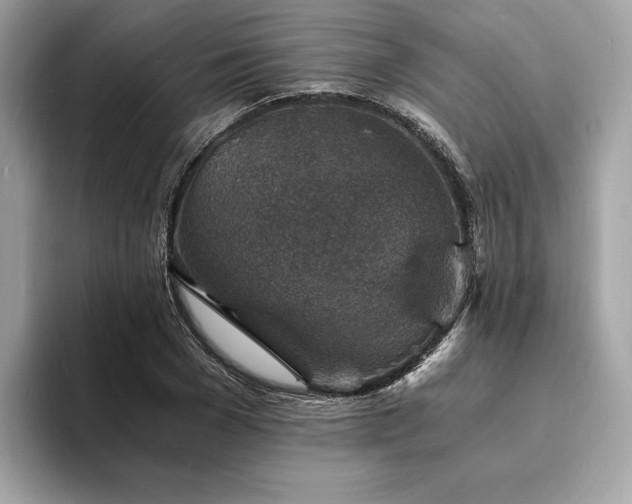 X0000093730977200710161113
