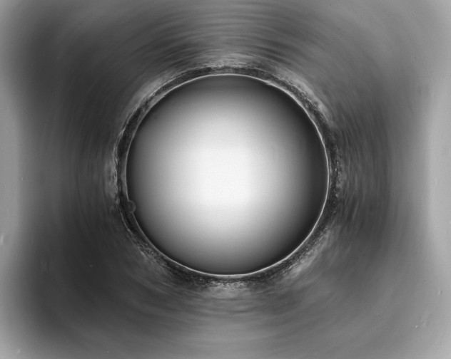 X0000093730978200710161113