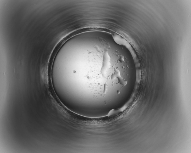 X0000093730980200710161113