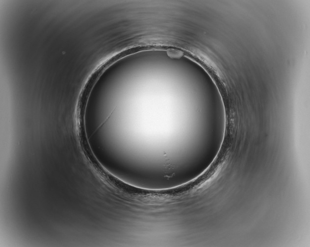 X0000093730981200710161113