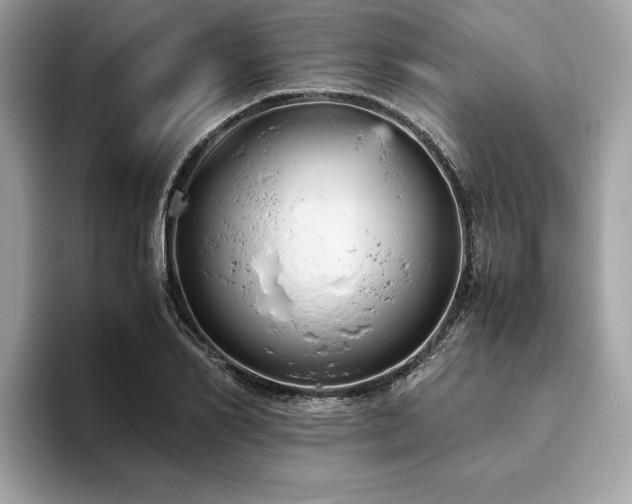 X0000093730982200710161113