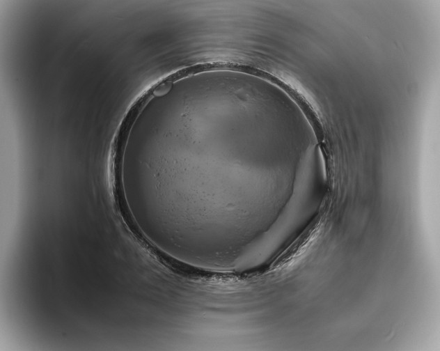 X0000093730983200710161113