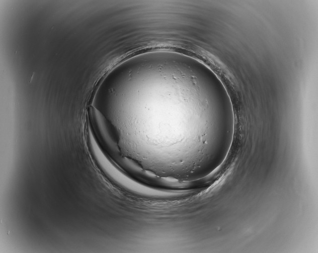 X0000093730985200710161113