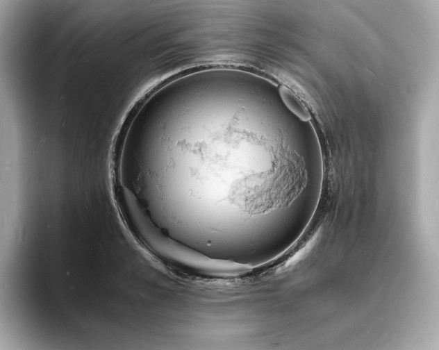 X0000093730989200710161113