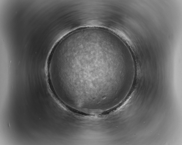 X0000093730990200710161113