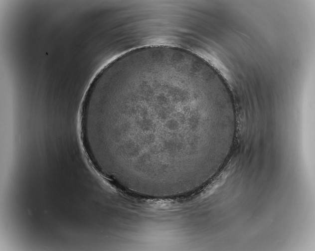 X0000093730991200710161113