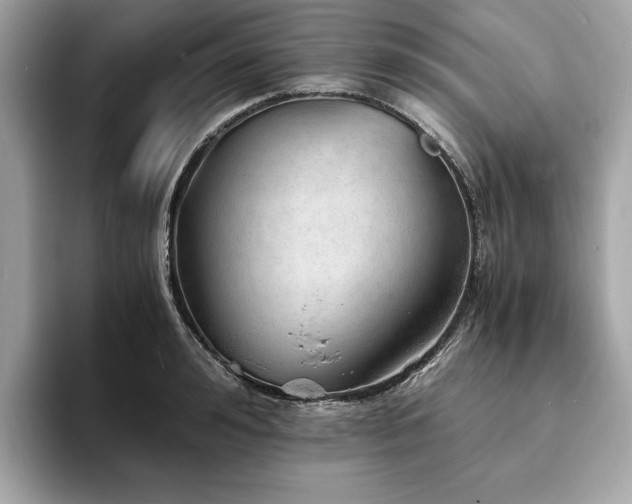 X0000093730992200710161113