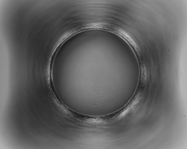 X0000093730994200710161113