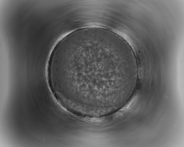 X0000093730995200710161113
