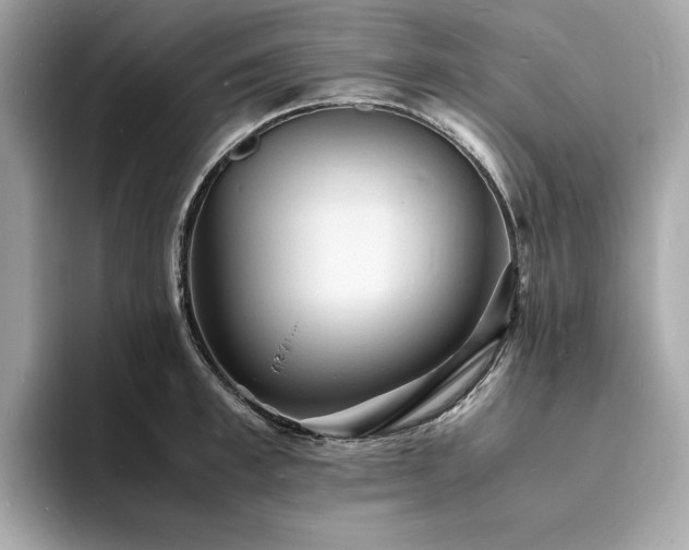 X0000093730997200710161113