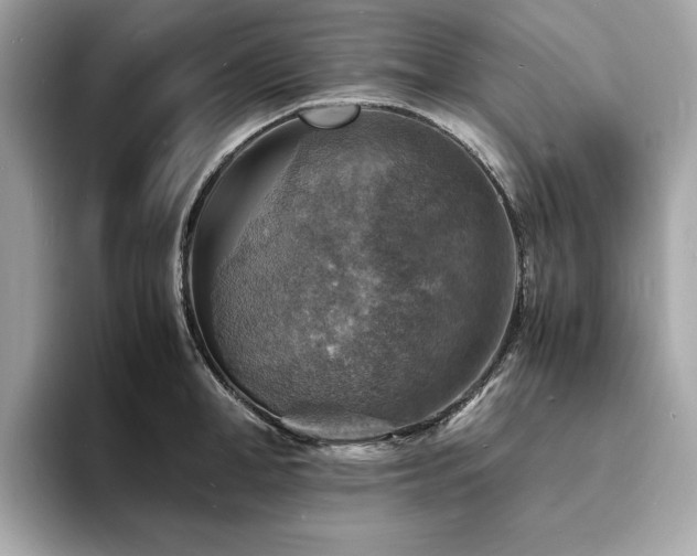 X0000093730998200710161113