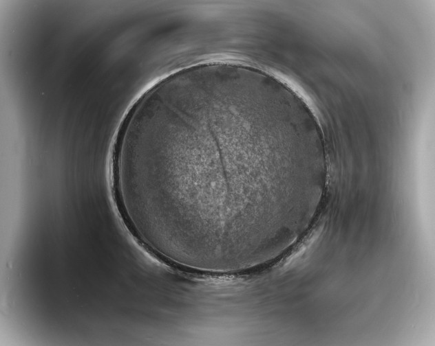 X0000093730999200710161113