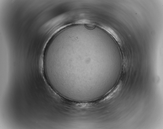 X0000093731000200710161113