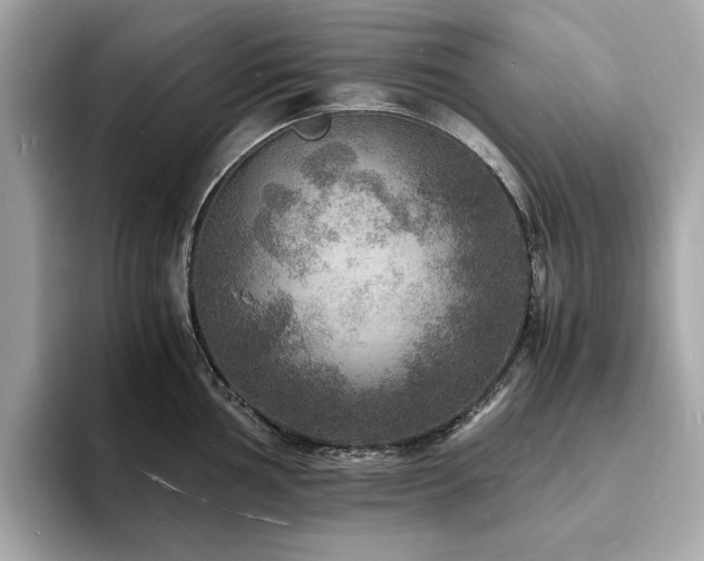 X0000093731002200710161113