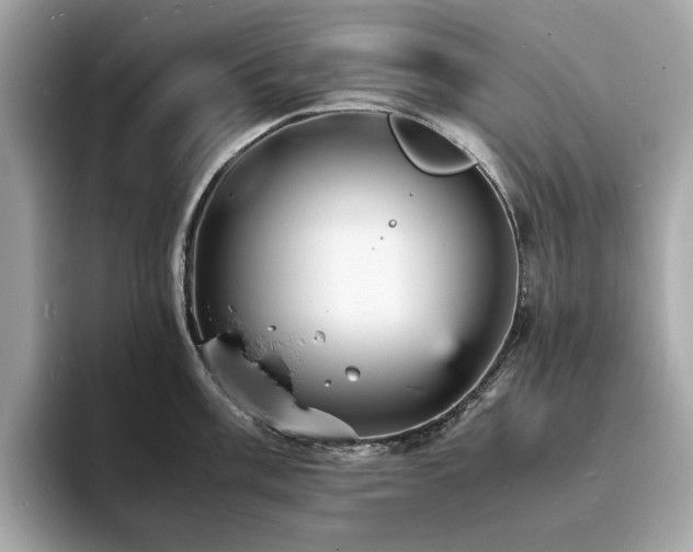 X0000093731003200710161113