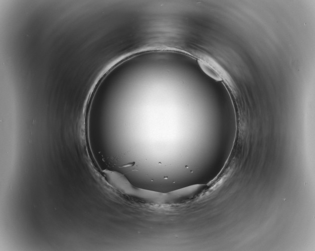 X0000093731004200710161113