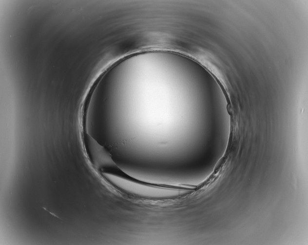 X0000093731005200710161113