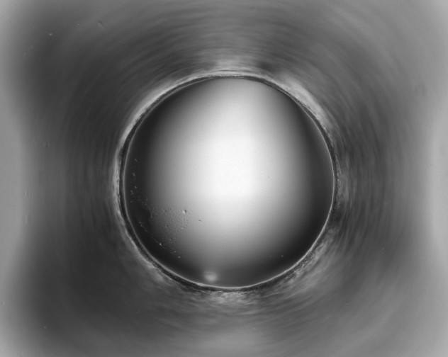 X0000093731006200710161113