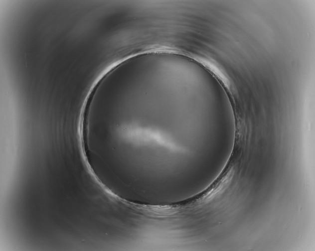 X0000093731007200710161113