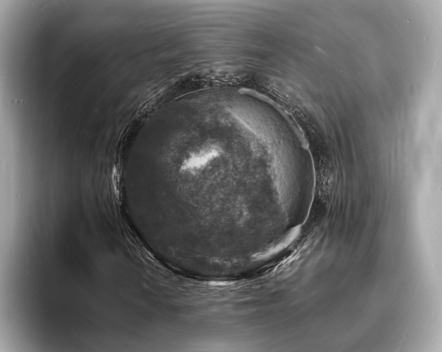 X0000093731010200710161113