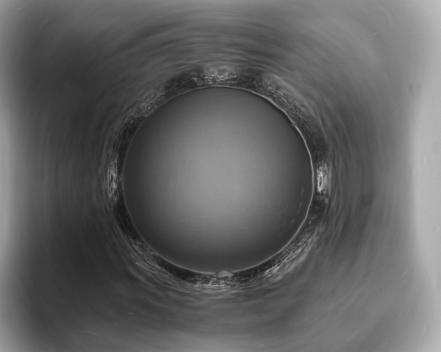 X0000093731011200710161113