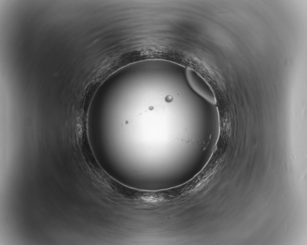 X0000093731012200710161113