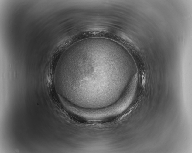 X0000093731014200710161113