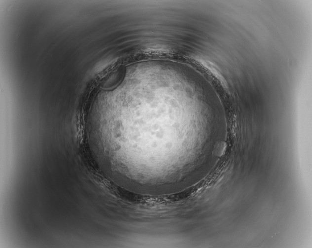X0000093731015200710161113