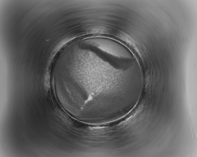 X0000093731019200710161113
