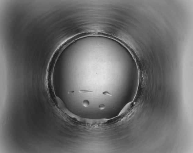X0000093731020200710161113