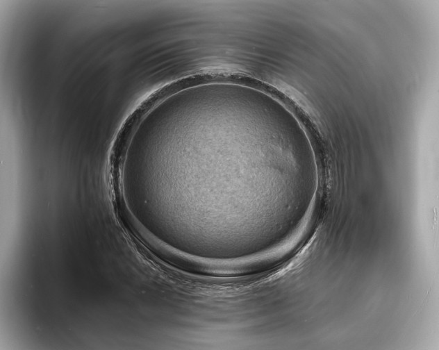 X0000093731022200710161113