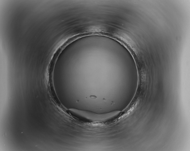 X0000093731023200710161113