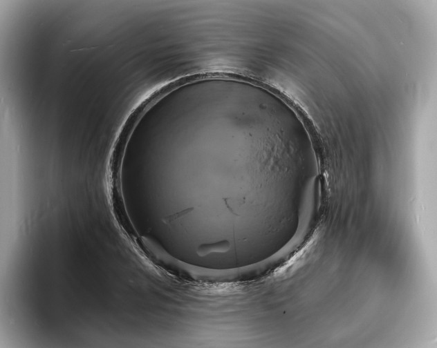 X0000093731024200710161113