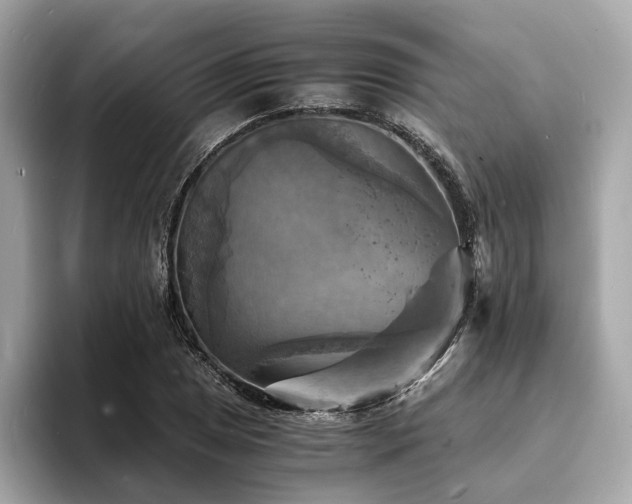 X0000093731025200710161113