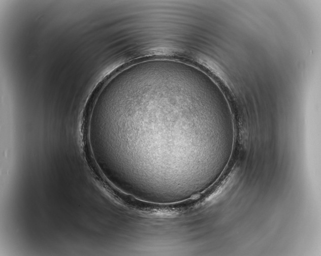 X0000093731026200710161113