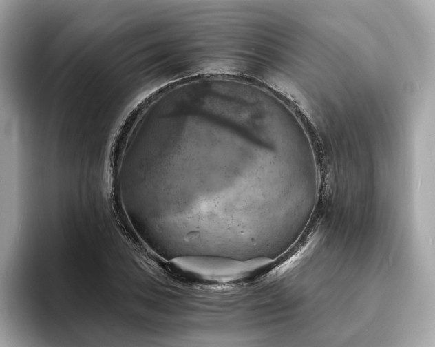 X0000093731027200710161113