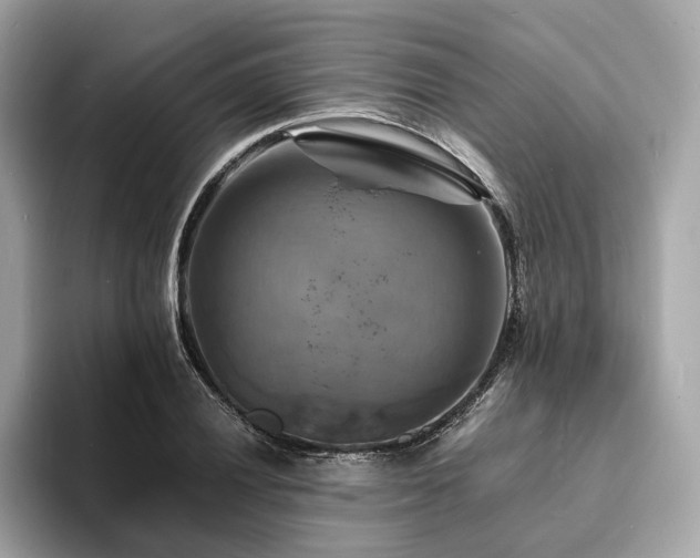 X0000093731028200710161113