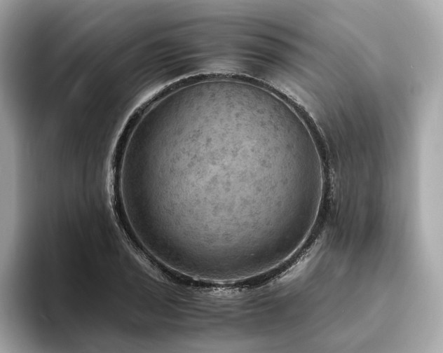 X0000093731029200710161113