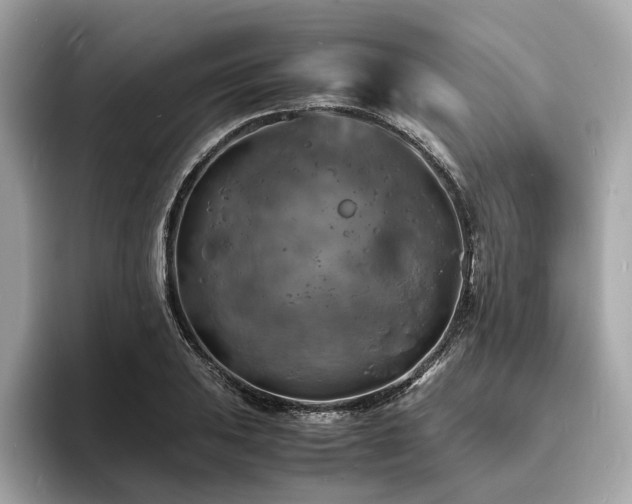X0000093731031200710161113