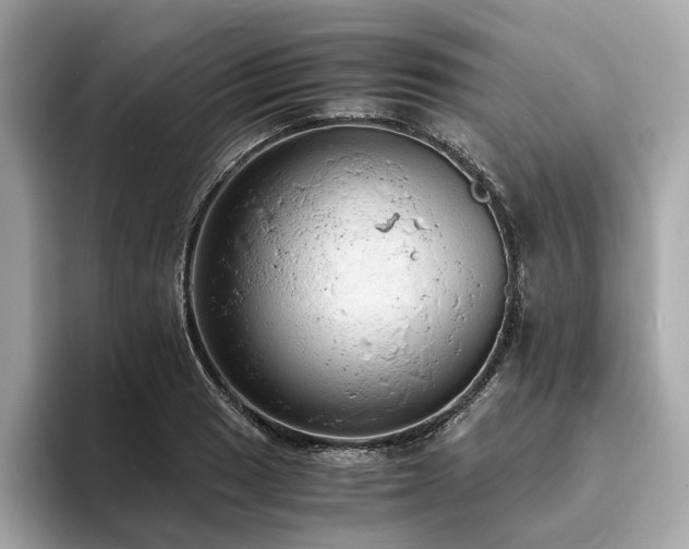 X0000093731033200710161113