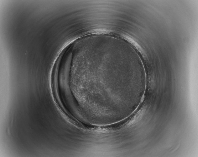 X0000093731034200710161113