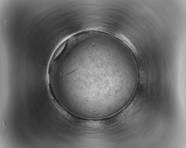 X0000093731036200710161113