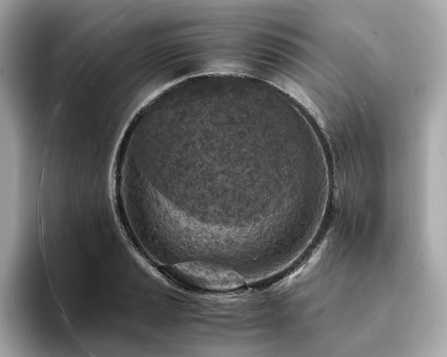 X0000093731037200710161113