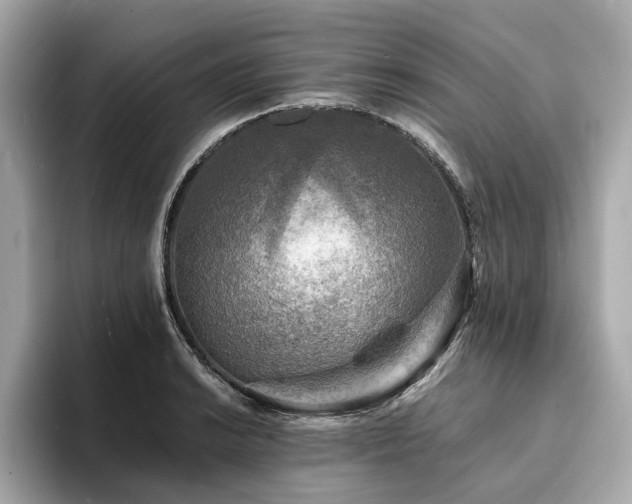 X0000093731038200710161113